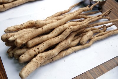 山藥具有溫陽補腎功效,適量攝取能緩減夜尿狀況。 山藥具有溫陽補腎功效,適量攝取能緩減夜尿狀況。