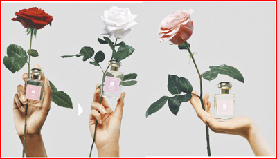 三種玫瑰香氣，你最適合哪一種？（Jo Malone提供）