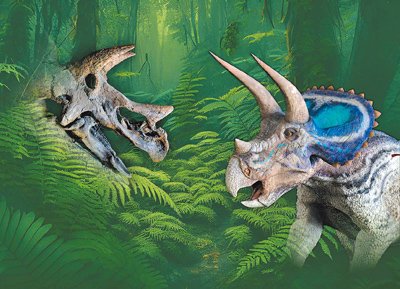 SOGO復興館化石博覽會「角頭來了」即日起至2月18日登場。（SOGO提供）