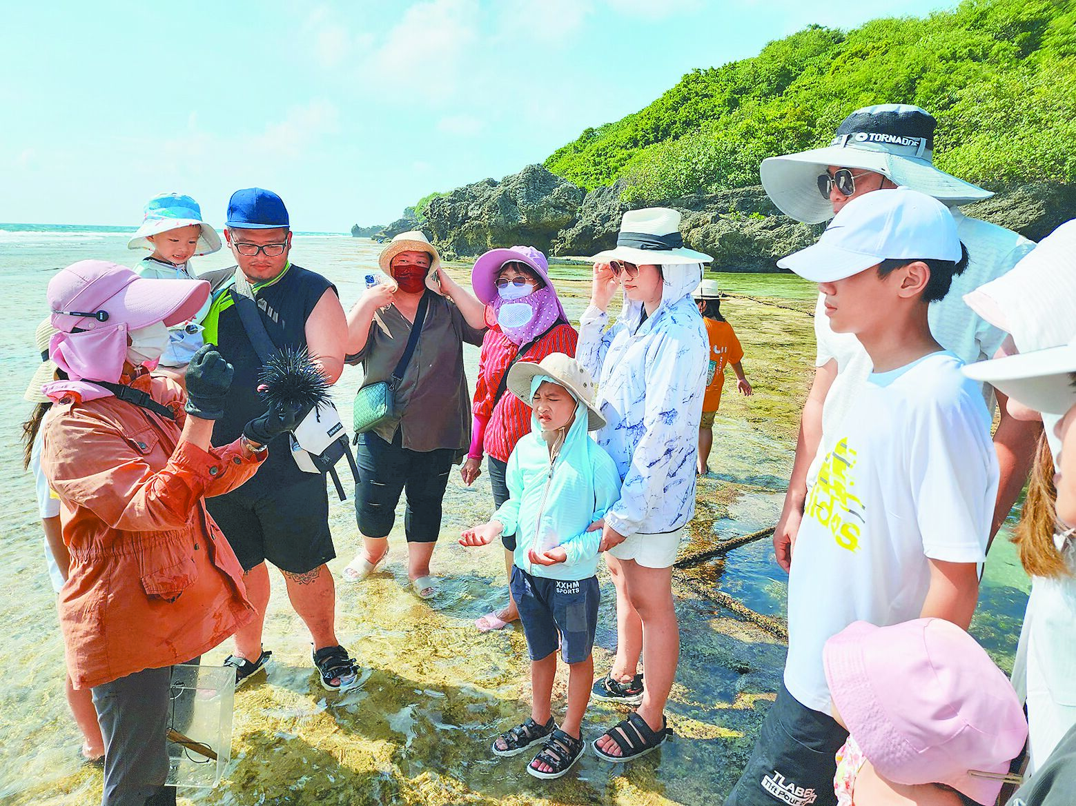 7月1日起,旅客進入小琉球自然人文生態景觀區,需申請專業導覽人員陪同,進行生態導覽。(屏縣府提供/羅琦文屏東傳真) image