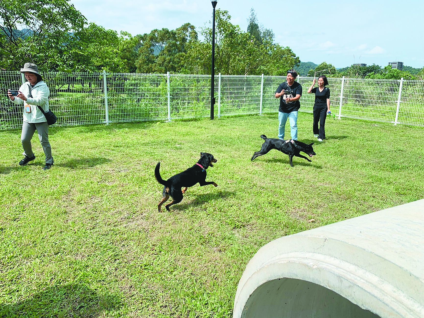 基隆市首座寵物公園9日於暖暖運動公園內啟用,民眾迫不及待帶著毛小孩到公園草地奔跑。(徐佑昇攝) image
