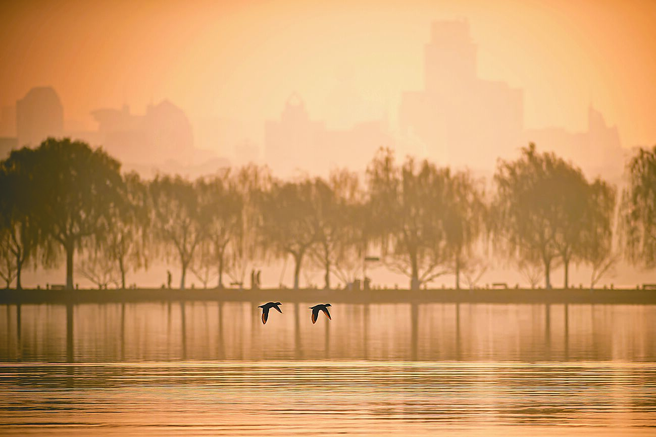 在西湖岳王廟前唱《滿江紅》特別合情。(新華社) image