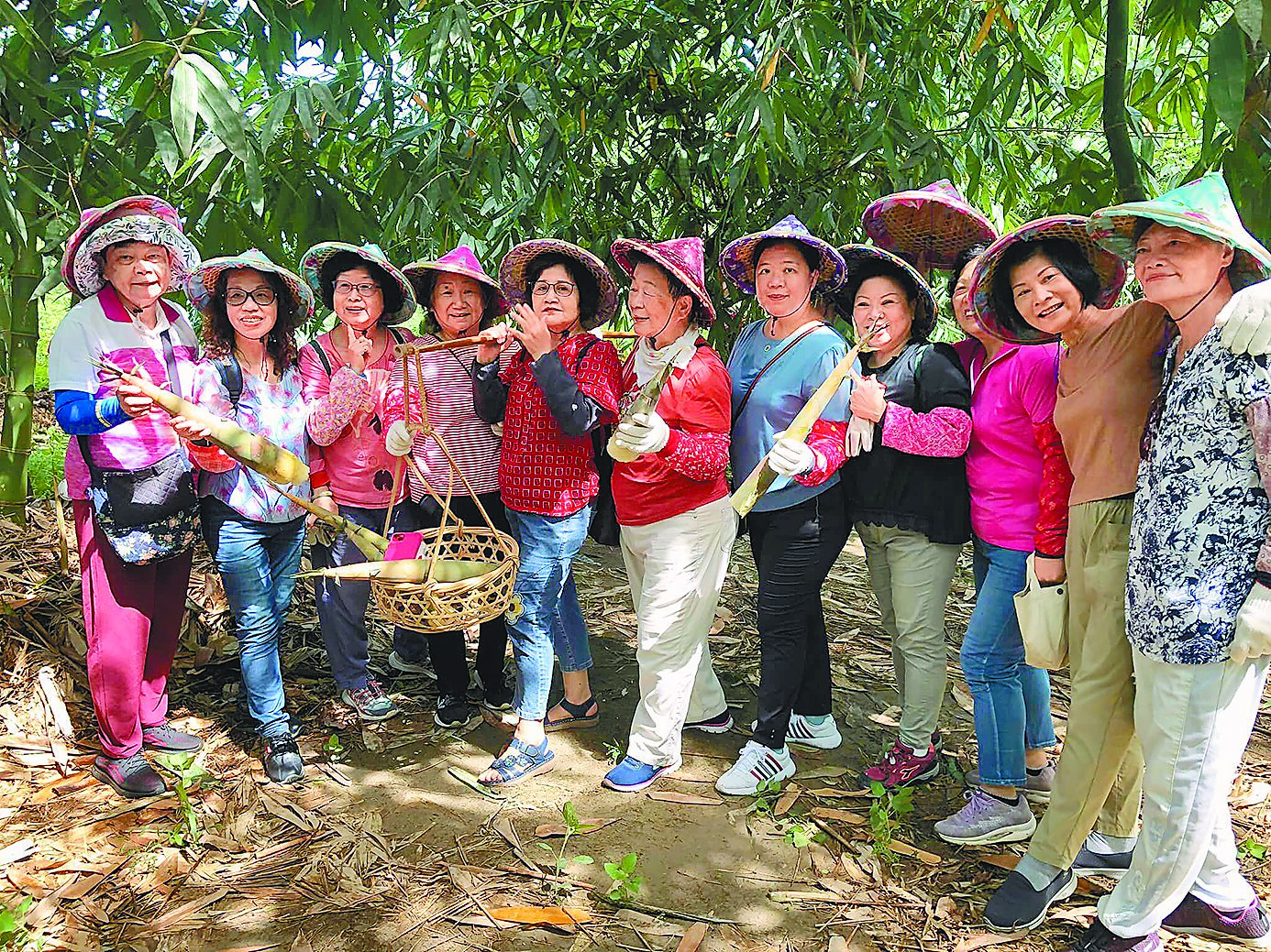 雲林縣古坑鄉大埔社區盛產麻竹筍,社區推出割筍體驗,好玩又有教育意義,十分受歡迎。(古坑鄉大埔社區提供/周麗蘭雲林傳真) 雲林縣古坑鄉大埔社區盛產麻竹筍,社區推出割筍體驗,好玩又有教育意義,十分受歡迎。(古坑鄉大埔社區提供/周麗蘭雲林傳真)