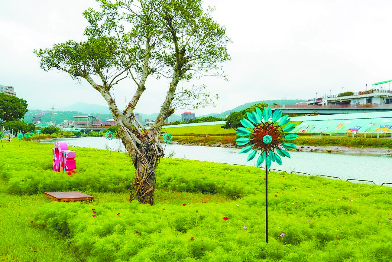 關渡花海以大波斯菊、黃波斯菊、百日草等花卉聞名。(台北市工務局提供/黃敬文台北傳真) image