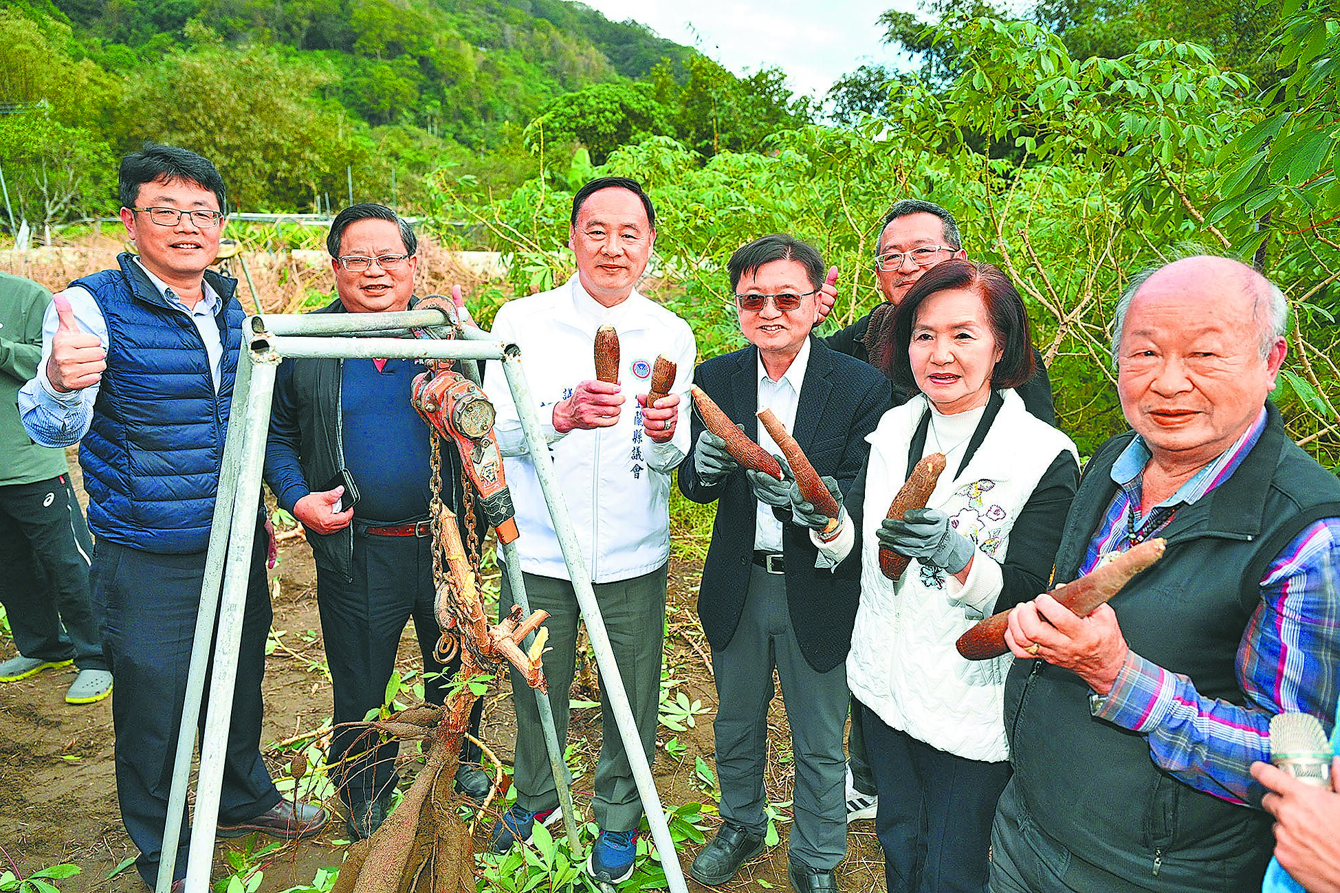 宜蘭縣頭城鎮烏石港有機農業促進區11日舉辦成立茶會,縣長林姿妙(右二)體驗採收黃金樹薯,並期盼能將有機理念逐步擴及到各鄉鎮市。(宜蘭縣政府提供/李忠一宜蘭傳真) image