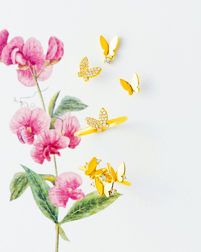AHKAH人氣珠寶「Papillon brillant」(法語為「耀眼的蝴蝶」)(見圖)。(業者提供) image