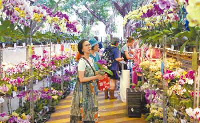 美國對台對等關稅稅率暫訂為20%,對以美國為主要市場的台灣蝴蝶蘭產業將造成重大衝擊。圖為民眾前往台北市建國假日花市挑選蝴蝶蘭。(趙雙傑攝) image