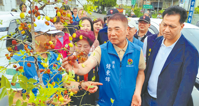 苗栗縣長鍾東錦(右二)4日偕同立委邱鎮軍(右一)赴紅棗最大產地公館鄉勘災。(謝明俊攝) image