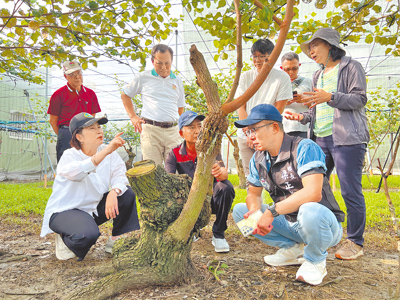 屏東縣長周春米(前排左一)5日至農損最慘重的高樹鄉勘災,看著鳳梨、蜜棗根部慘遭雨水泡爛,農民心血付諸流水,周積極向中央爭取全品項補助。(謝佳潾攝) image