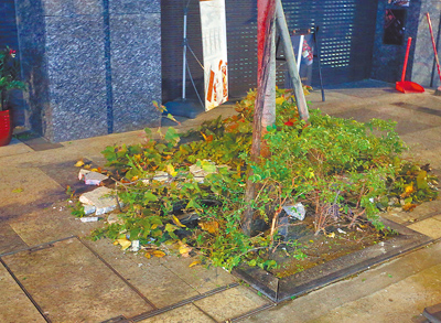 27日發生規模7.0大地震,北市雙連街上一棟住宅大樓外牆磁磚剝落,現場趕緊拉起封鎖線,以防意外發生。(趙雙傑攝) 27日發生規模7.0大地震,北市雙連街上一棟住宅大樓外牆磁磚剝落,現場趕緊拉起封鎖線,以防意外發生。(趙雙傑攝)