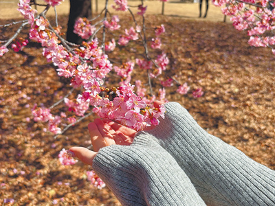 立春到養肝重調身體節律