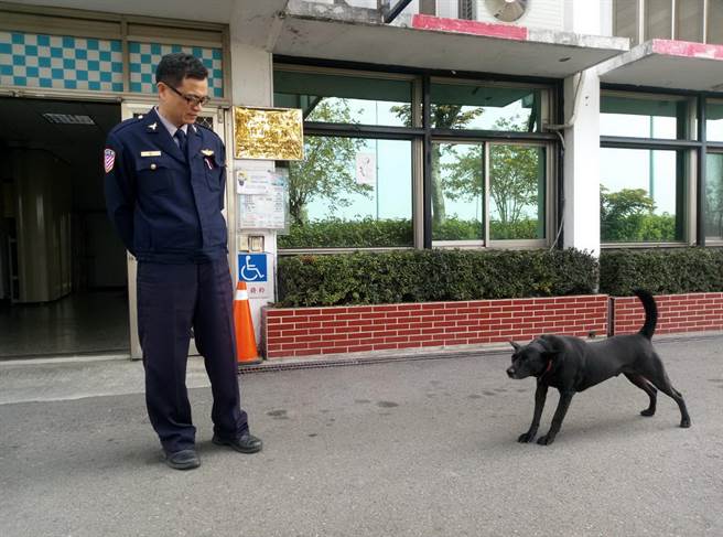 國道警察第4大隊斗南分隊隊犬「三路」看家、勤值都很盡,分隊長薛金河等公餘去運動,三路也會陪著。(許素惠攝) image