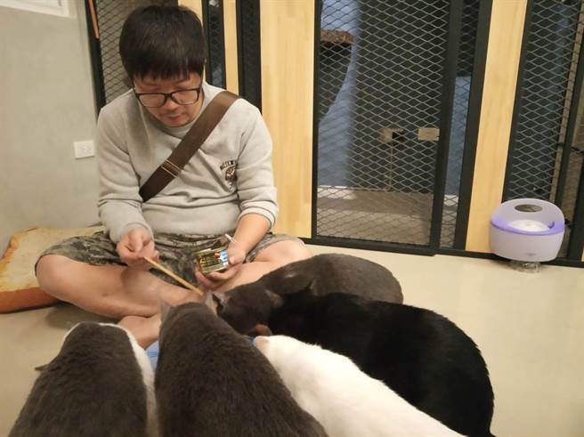 民宿主人林泓蔚為愛收養流浪貓。(楊漢聲翻攝) 民宿主人林泓蔚為愛收養流浪貓。(楊漢聲翻攝)