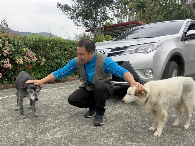 魚池鄉「侏儸紀公園」步道入口處最後民宅,「熊熊(右)」與「庫洛(左)」喜歡幫遊客帶路。(沈揮勝攝) 魚池鄉「侏儸紀公園」步道入口處最後民宅,「熊熊(右)」與「庫洛(左)」喜歡幫遊客帶路。(沈揮勝攝)