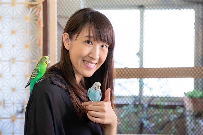 兩隻鸚鵡非常黏小妤。(袁庭堯攝) 兩隻鸚鵡非常黏小妤。(袁庭堯攝)