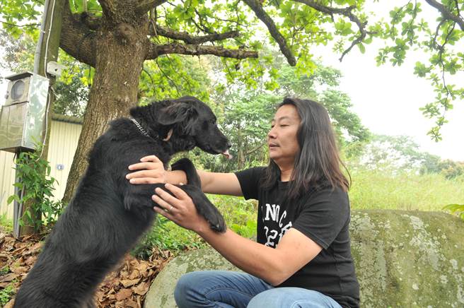 劉又麒的愛犬千千來自某幫派堂主,因牠串連起多段奇妙的緣分。(廖肇祥攝) image