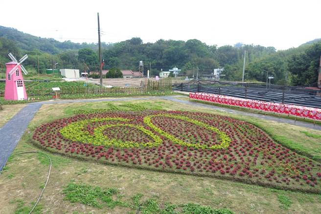 武榮國小慶祝60周年校慶,花圃呈現「60」字樣。(武榮國小提供) 武榮國小慶祝60周年校慶,花圃呈現「60」字樣。(武榮國小提供)