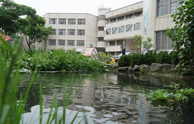 東興國小校園綠環境優美,校歌《愛在東興飛揚》寫情也寫景,貼切的描寫出學校特色。(黃國峰攝) 東興國小校園綠環境優美,校歌《愛在東興飛揚》寫情也寫景,貼切的描寫出學校特色。(黃國峰攝)