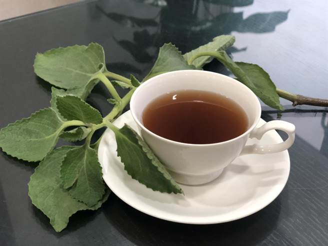 「港都茶站」生草茶,喝起來有左手香的清香和龍眼的甘甜。(馮惠宜攝) 「港都茶站」生草茶,喝起來有左手香的清香和龍眼的甘甜。(馮惠宜攝)