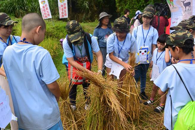 夏令營學員體驗做稻草人。(巫靜婷攝) 夏令營學員體驗做稻草人。(巫靜婷攝)