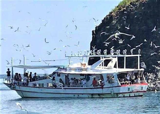搭船出海暢遊無人島賞燕鷗,澎湖暑假旅遊新祕境之旅。(陳可文攝) 搭船出海暢遊無人島賞燕鷗,澎湖暑假旅遊新祕境之旅。(陳可文攝)