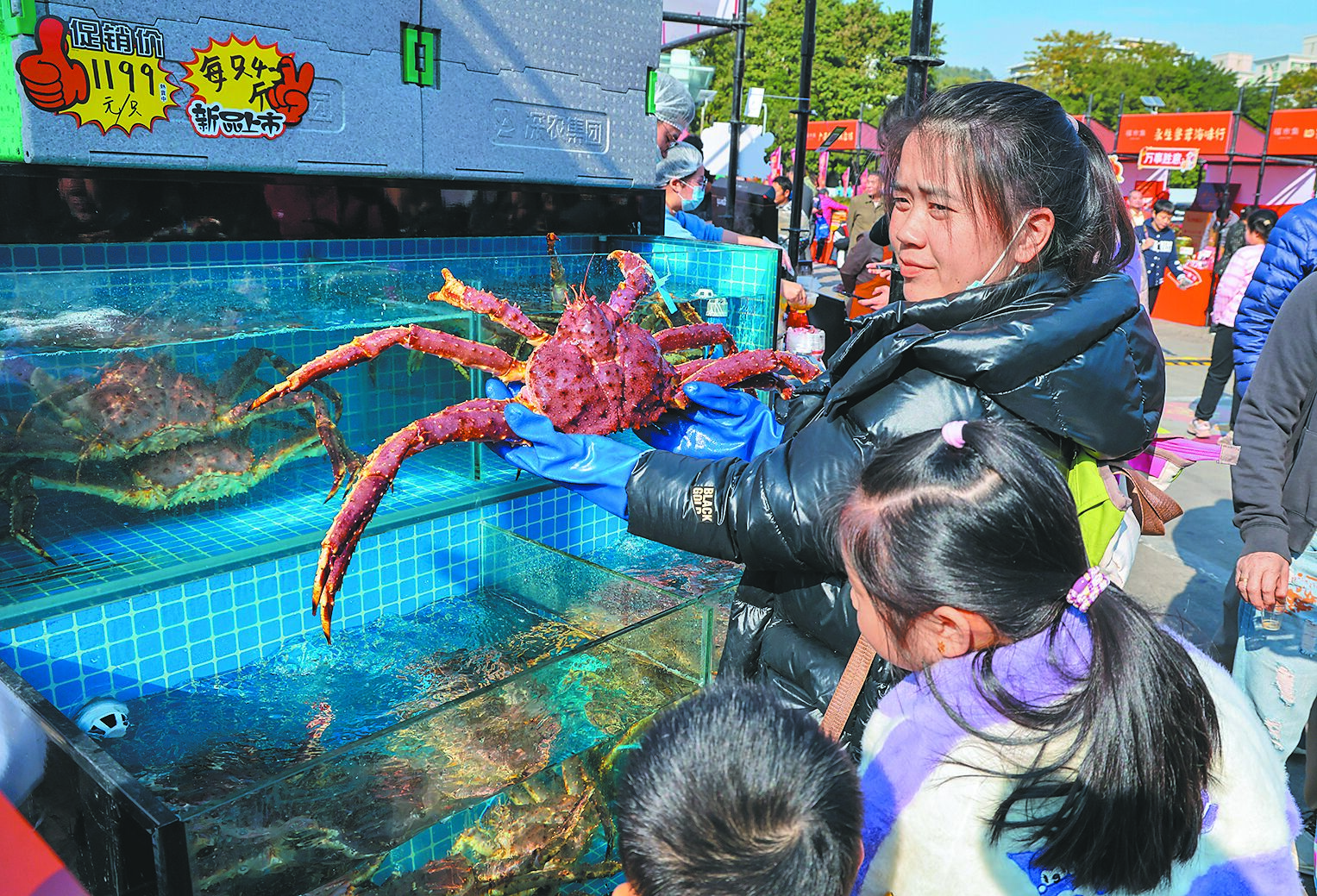 大陸海關總署29日晚間發布公告稱,有條件恢復日本部分地區水產品進口,但福島等地仍除外。圖為深圳福田農批市場,市民在挑選帝王蟹。(新華社) image