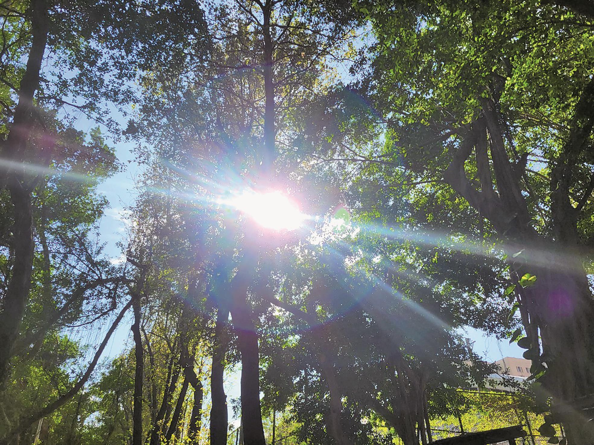 夏季應減少高溫時段活動,儘量避免在中午11點至下午3點間進行戶外活動。(鄭郁蓁攝) image