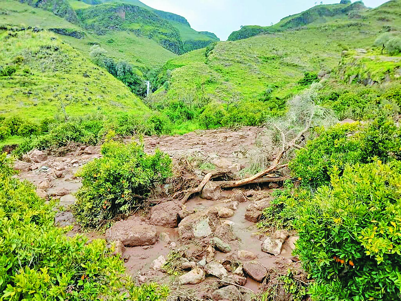 蘇丹西部連日大雨引發馬拉山區山崩。(路透) image