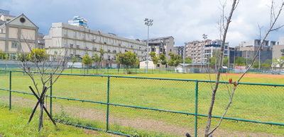 桃園市仁德國小校舍全區力拚116學年度完工,但114學年度將先借用非營利幼兒園校舍招收第一屆學生。(桃園市教育局提供/陳夢茹桃園傳真) image