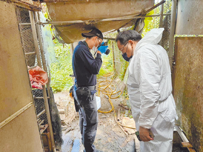 桃園市觀音區一處飼養場遭爆料私下屠殺狗隻、賣狗肉,桃園市動保處日前到場勘查,雖未查有屠殺狗隻情事,但已將28隻狗扣留。(桃園市動保處提供/姜霏桃園傳真) image