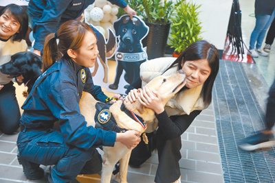 新北市警察局19日替6隻警犬舉辦退役儀式,每隻狗狗皆有各自本領,是守護新北治安的一大功臣,如今退役由民眾或原領犬員承接,享受幸福退休生活。(賀培晏攝) image