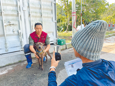新北市中和區動物之家臉書小編為協助收容所的毛孩找到溫暖的家,突發奇想決定為犬隻拍攝介紹影片。(新北動保處提供/賀培晏新北傳真) image