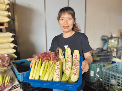 台中大里青農鄒冠民、湯靖雯夫妻利用社群軟體開啟團購,上午採收的鮮蔬當日下午就能送到消費者手裡。(潘虹恩攝) image