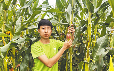 台中市青農陳君如利用南屯住家後方1分地農園耕作,導入食農教育,帶領民眾體驗農作,成為都市中難得一見的溫馨田園。(潘虹恩攝) image