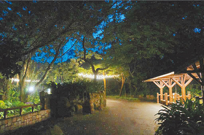 台北市立動物園從7月5日到8月23日,周六關園時間從下午5時延長至晚上9時,民眾可夜訪動物園,但有民眾依以往經驗表示,基本上什麼也看不到。(台北市立動物園提供/邱芊台北傳真) image