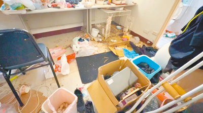 虎尾鎮一名女惡房客不滿房東不續租,竟破壞租屋處洩憤,還把兔子餓死讓房東處理。(民眾提供/周麗蘭雲林傳真) image