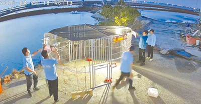 嘉義縣家畜疾病防治所正在施行的跨域地空AI智能捕犬模式,透過控制圍籬出入口,可成功捕捉流浪狗。
(嘉義縣政府提供/呂妍庭嘉義傳真) image