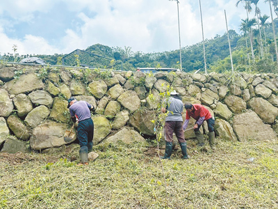雲林縣府今年在古坑鄉華山村「大湖底」設立賞螢示範區,營造螢火蟲幼蟲與其獵物蝸牛、蛞蝓適合棲息的環境。(雲林縣府提供/雲林周麗蘭傳真) image