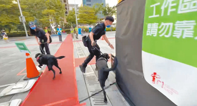 台中市警局偵爆犬VOLVO(右)、ZEBRA(左)仔細偵蒐活動場地。(台中警犬隊提供/寶智華台中傳真) image
