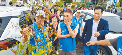 國內最大紅棗產地苗栗縣公館鄉,今年生產的紅棗遭遇丹娜絲、竹節草等颱風外圍環流帶來連續豪大降雨影響,造成嚴重裂果問題,幾乎是全軍覆沒,苗栗縣長鍾東錦(右二)呼籲中央再補助每公頃2萬5000元,減低棗農損失。(本報資料照片) image