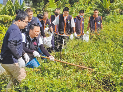 桃園市副市長蘇俊賓(左二)動手清除小花蔓澤蘭,鼓勵社區共同參與。(呂筱蟬攝) image