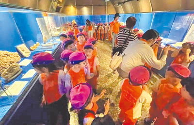 高雄澄清湖園內的水族館「海洋奇珍園」將在年底熄燈。(翻攝自海洋奇珍園臉書/林雅惠高雄傳真) image