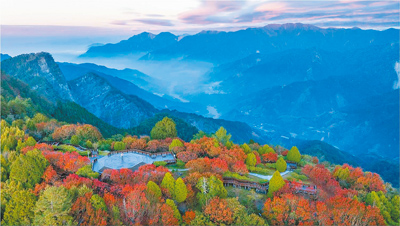 林業及自然保育署嘉義分署致力於阿里山國家森林遊樂區永續旅遊發展,近日獲「國際生態旅遊獎」雙首獎肯定。(林保署嘉義分署提供/呂妍庭嘉義傳真) image